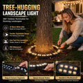 🌳 LED Ring Tree Light | Outdoor Waterproof Landscape Spotlight