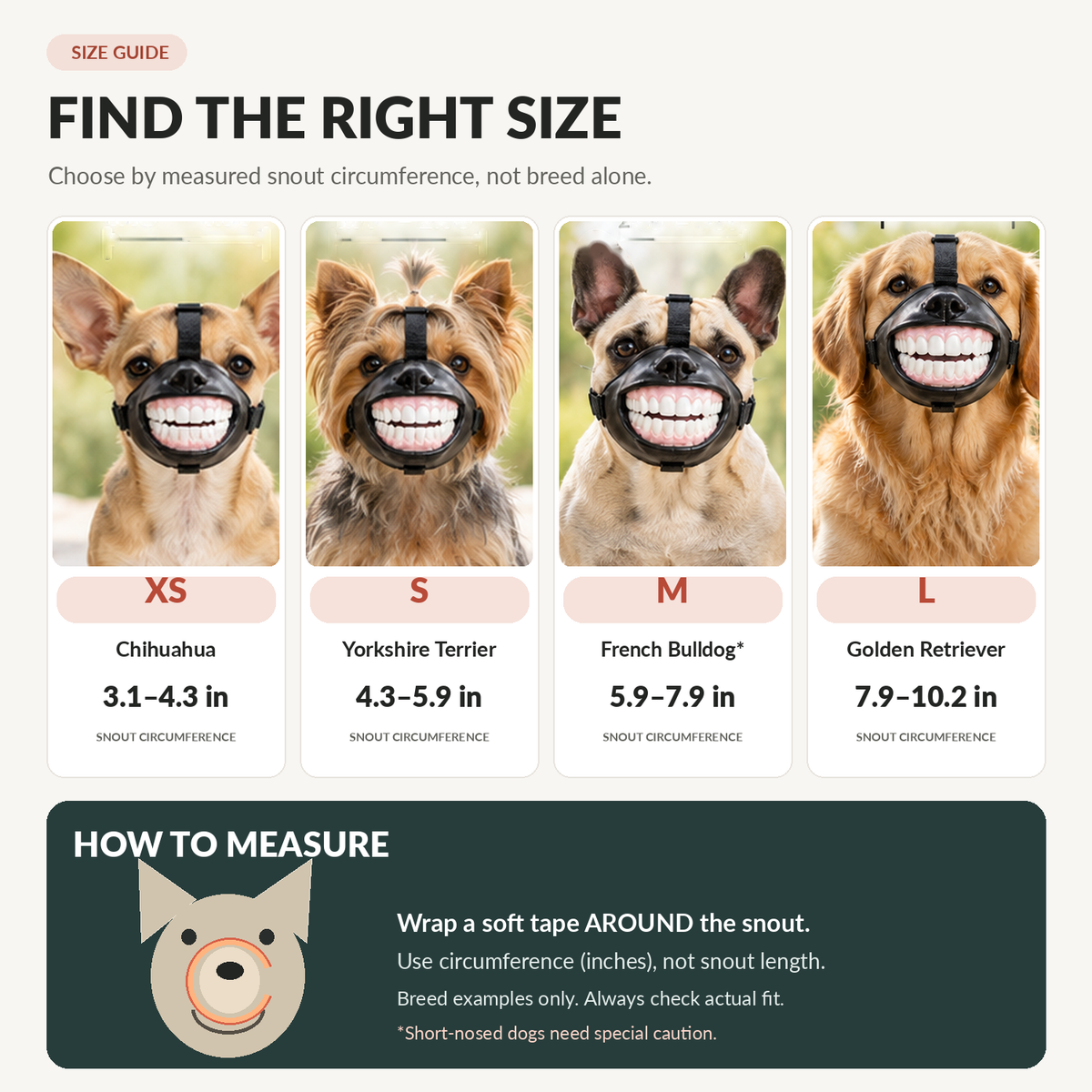 🤣 Give Your Dog a Hilarious New Smile! 🐶 Funny Dog Muzzle with Teeth – Adjustable Costume Mask