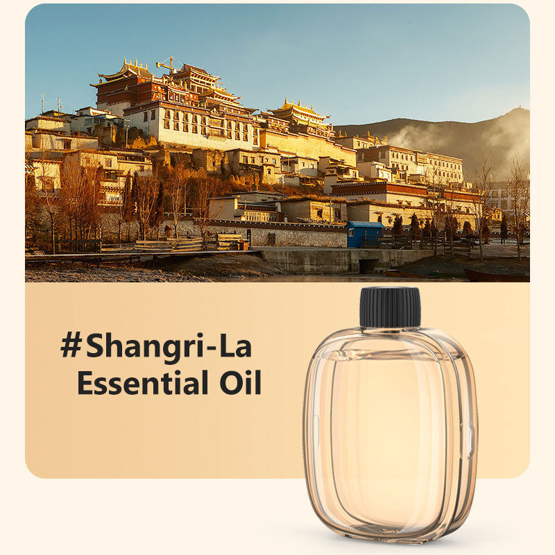 🌸Automatic Fragrance Spray for Home
